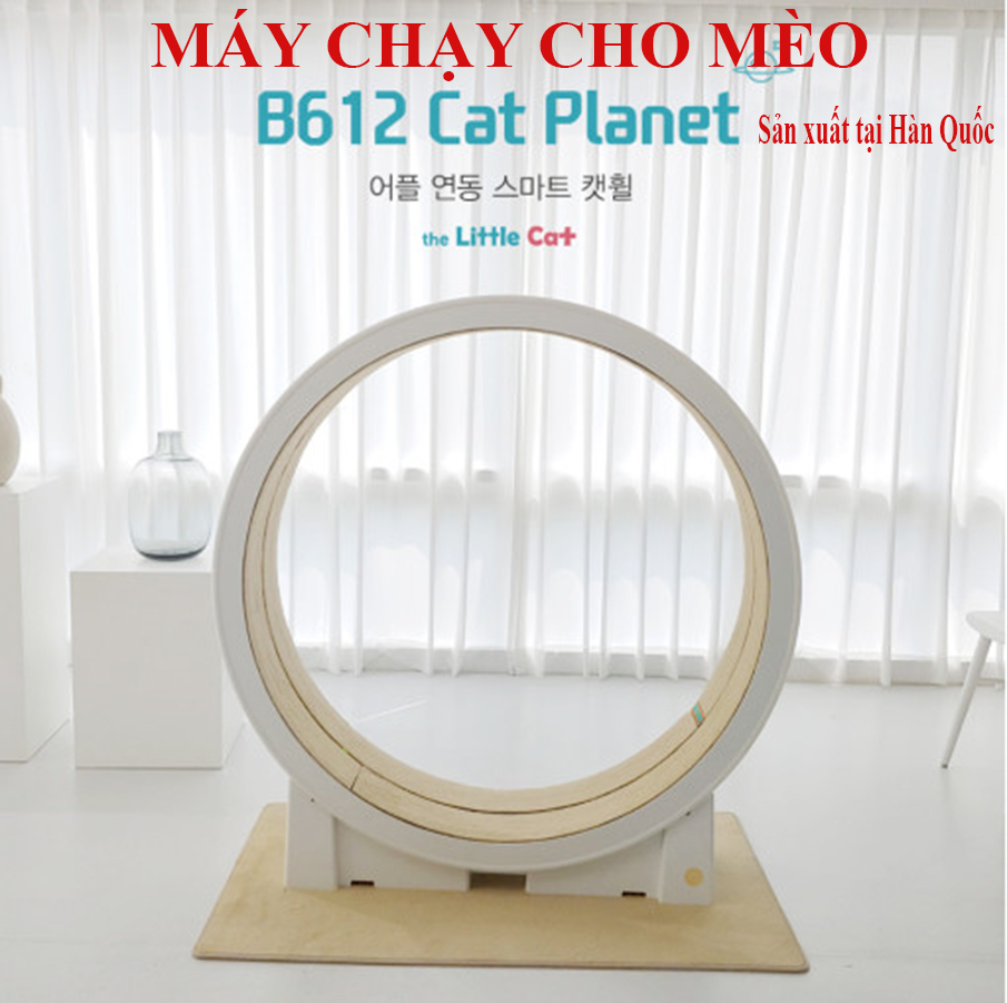 long_chay_cho_meo_1