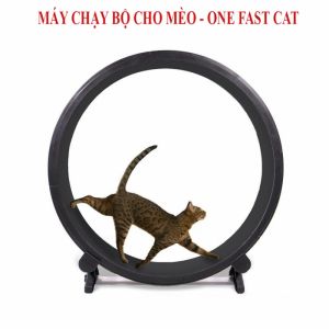 MÁY CHẠY BỘ CHO MÈO - ONE FAST CAT